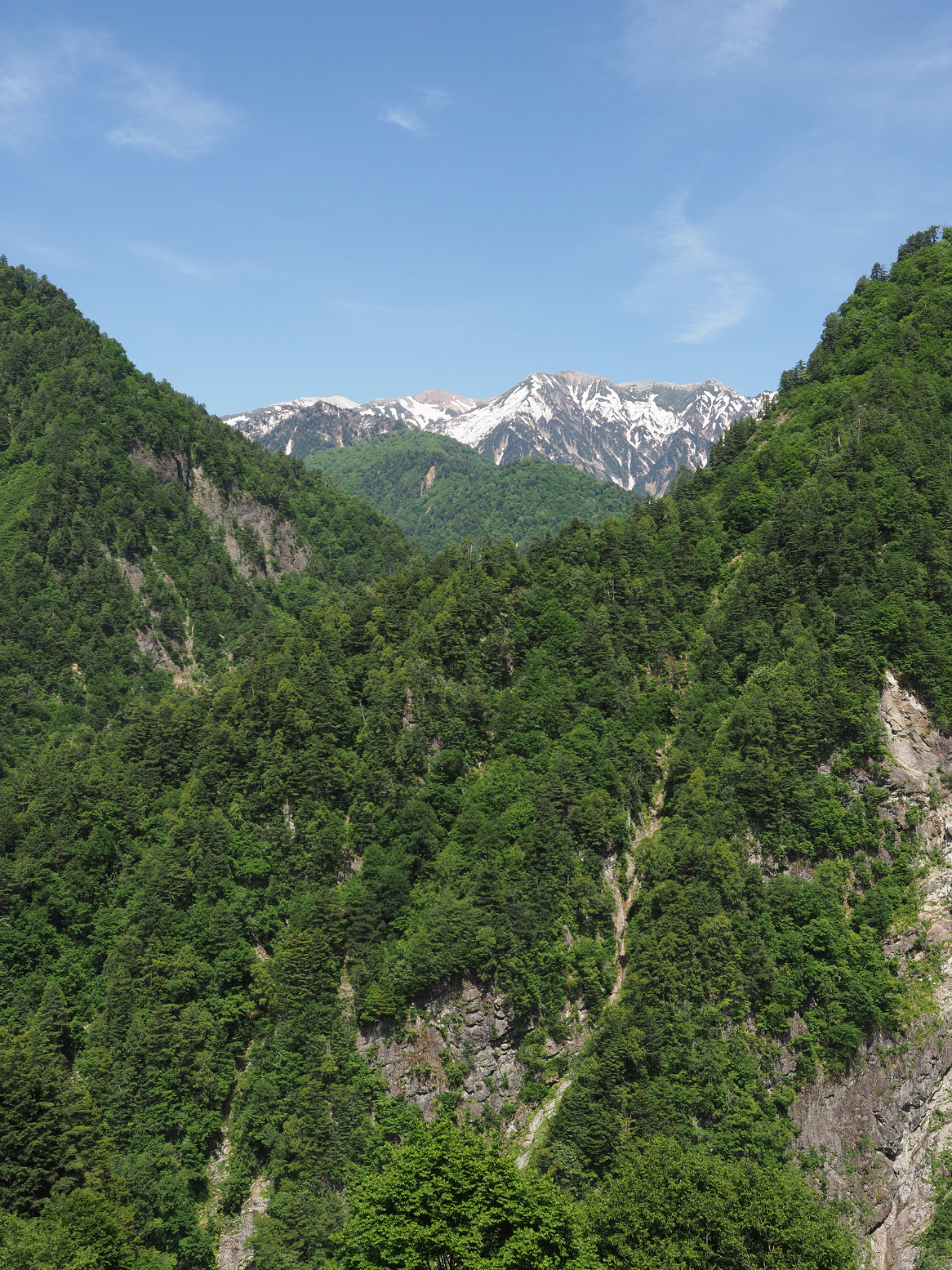 P5300667.jpg