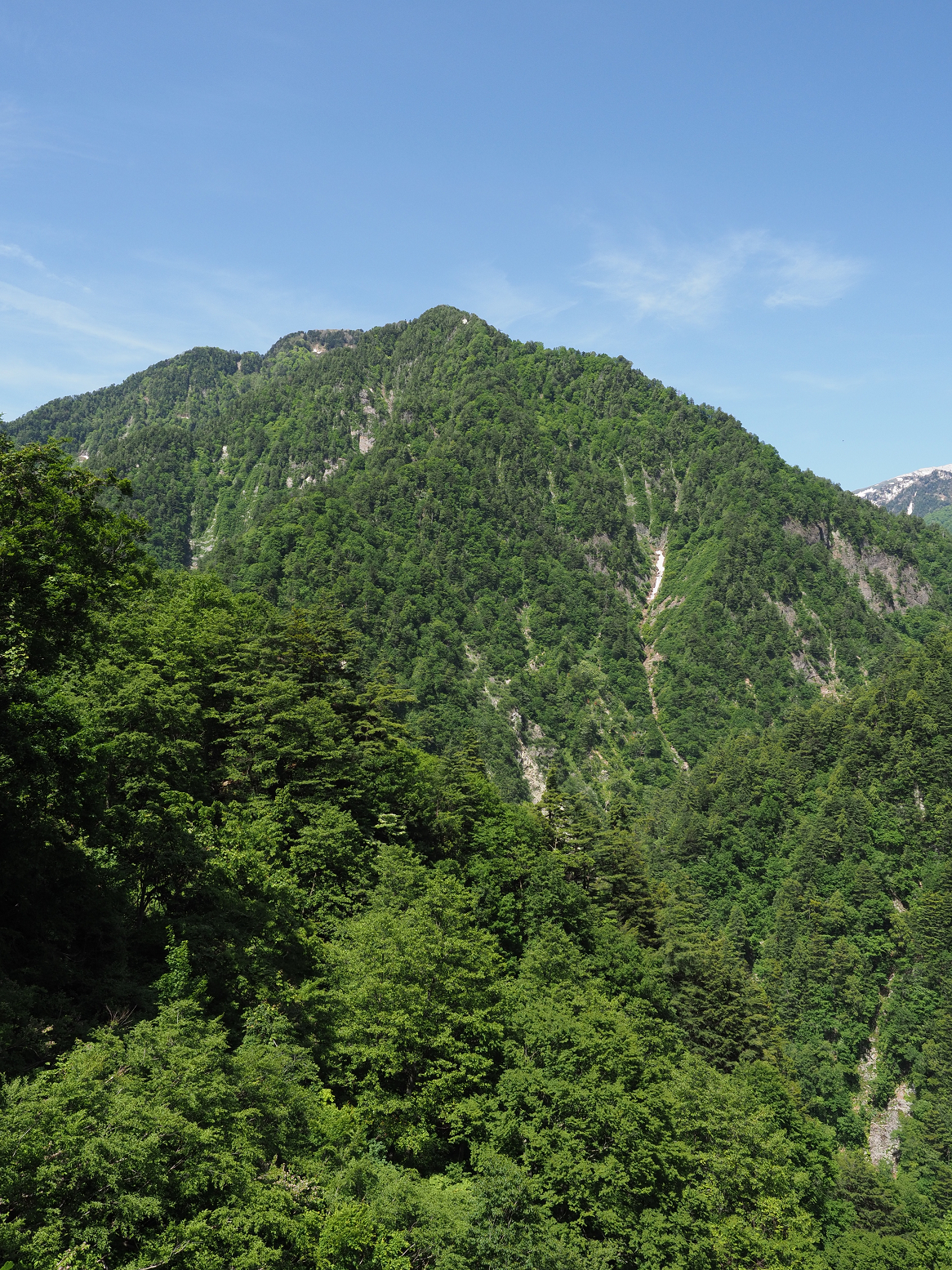 P5300668.jpg