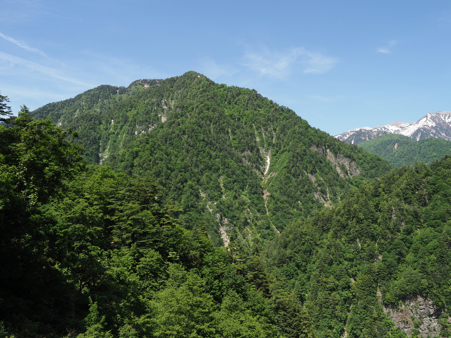 P5300669.jpg