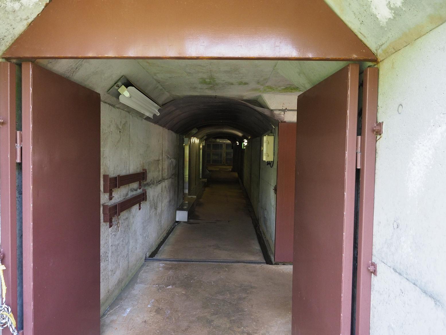P5300671.jpg