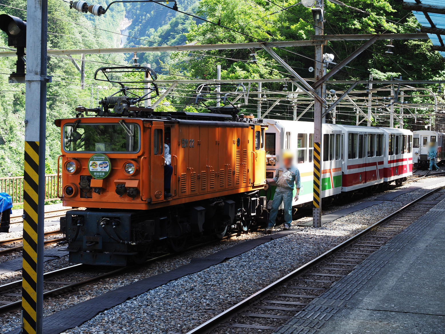 P5300731.jpg