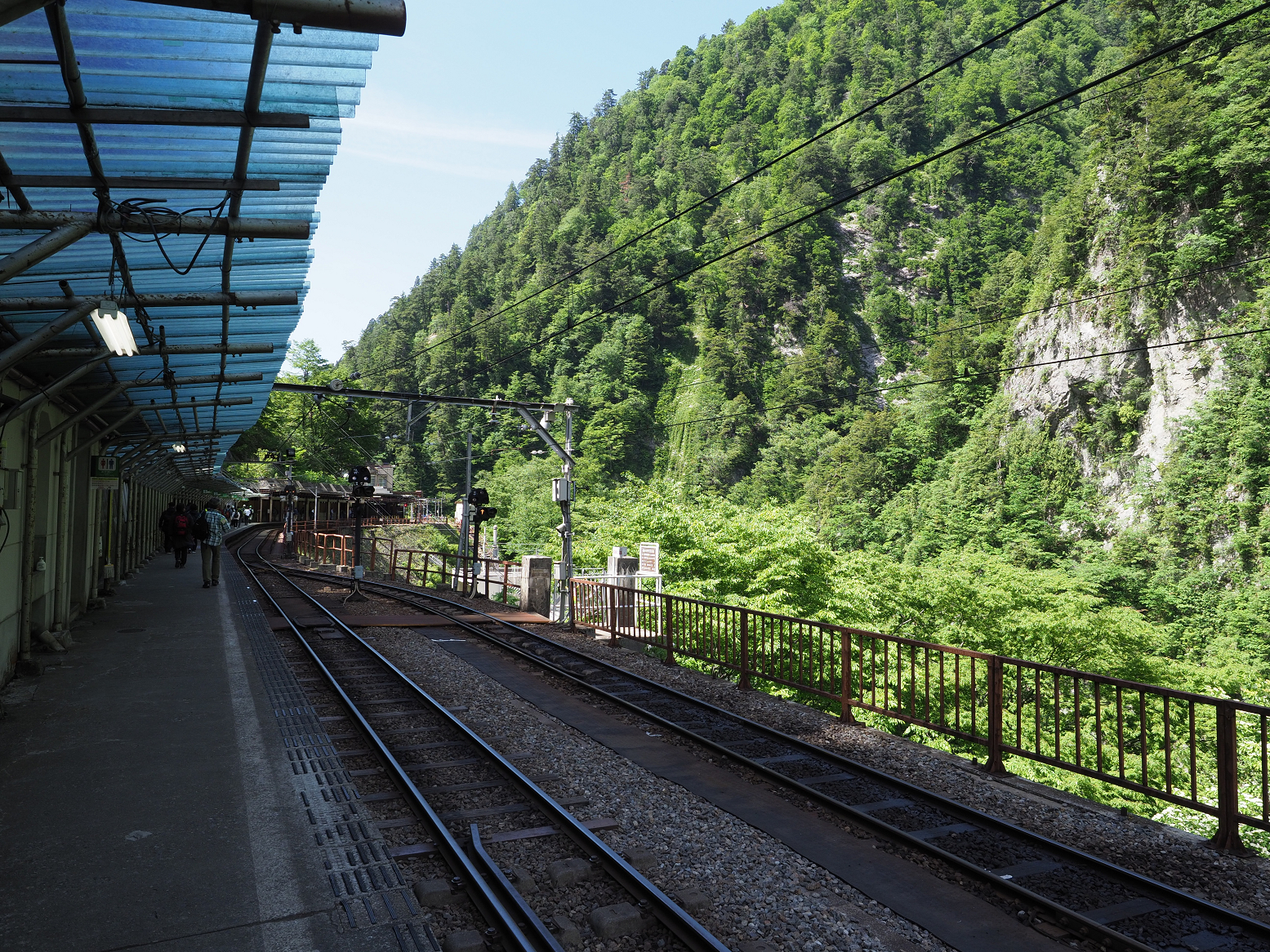 P5300732.jpg