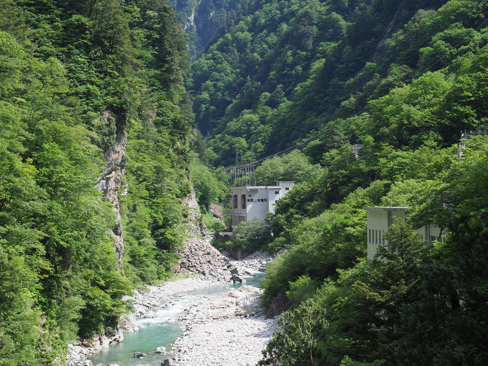 P5300757.jpg