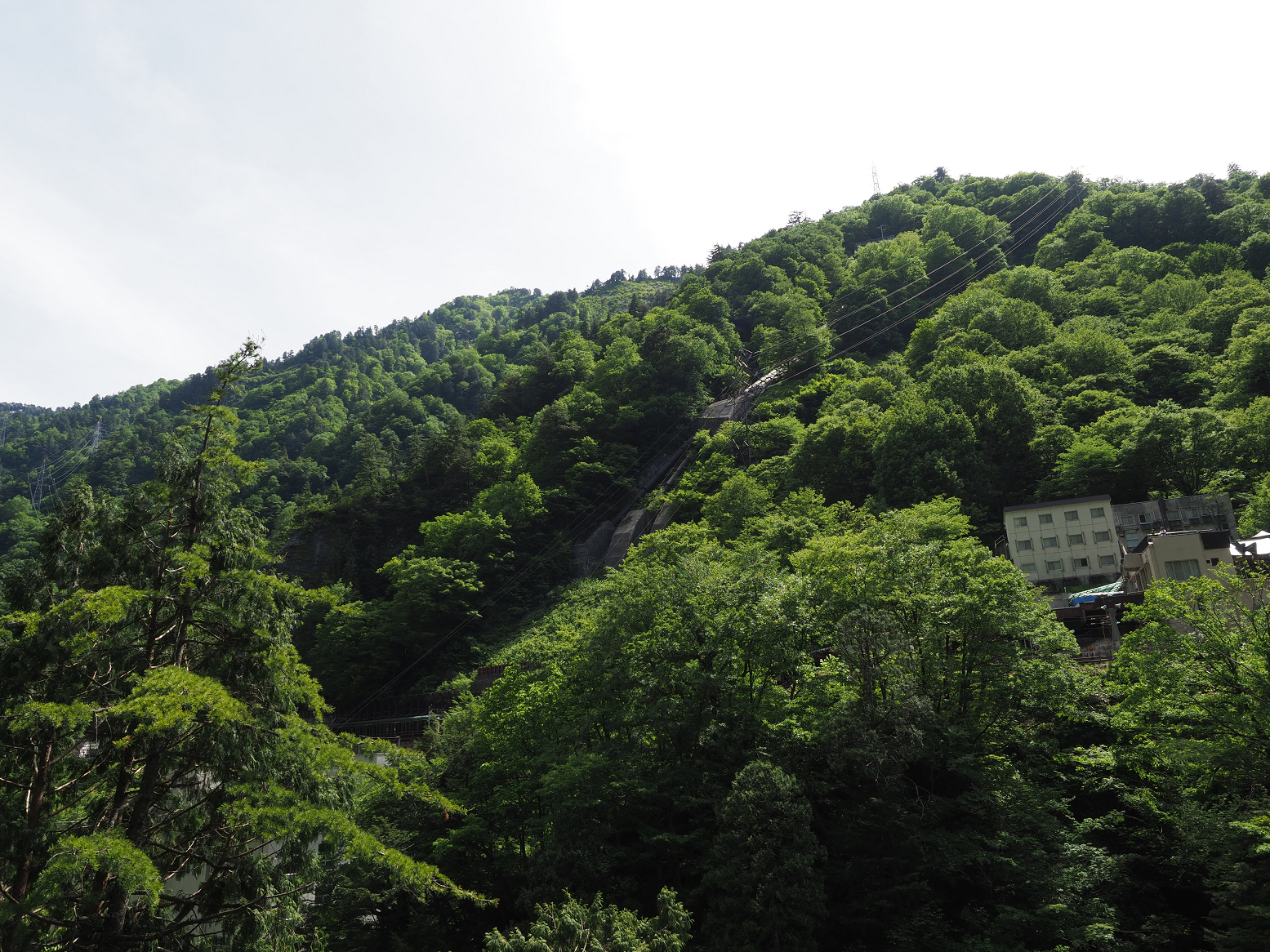 P5300759.jpg
