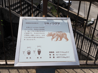 P5300781_thumb.png