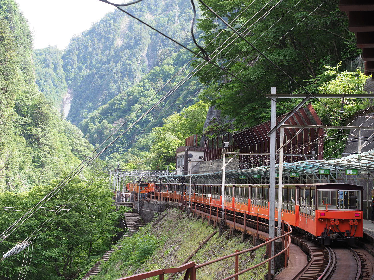 P5300809.jpg