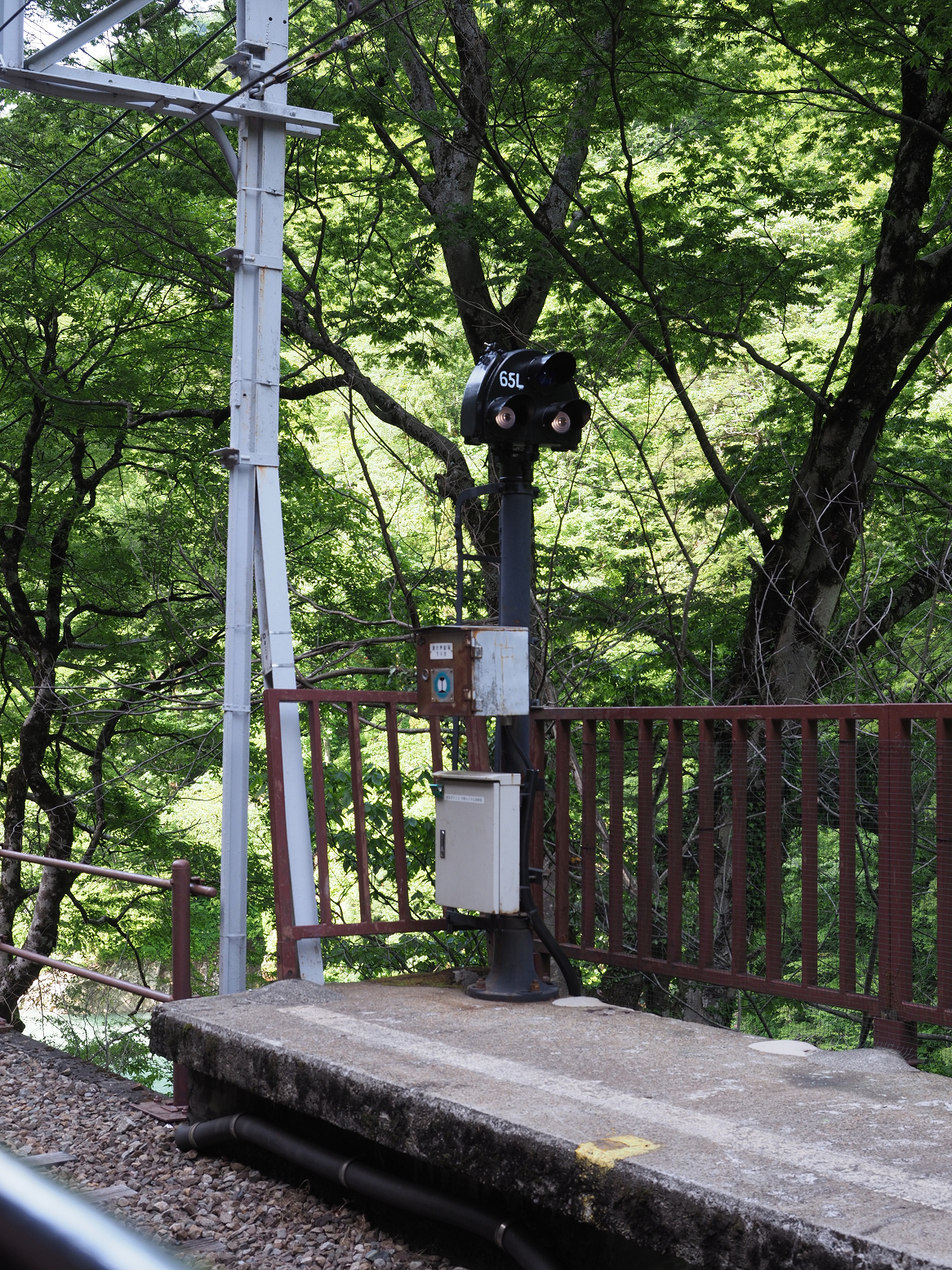 P5300845.jpg