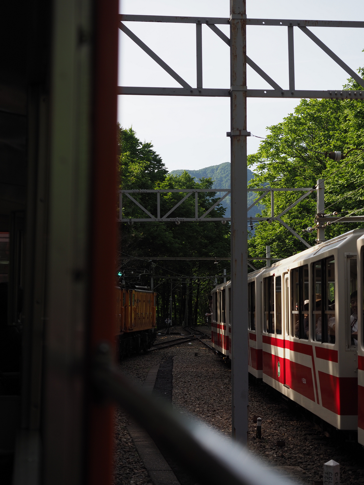 P5300884.jpg