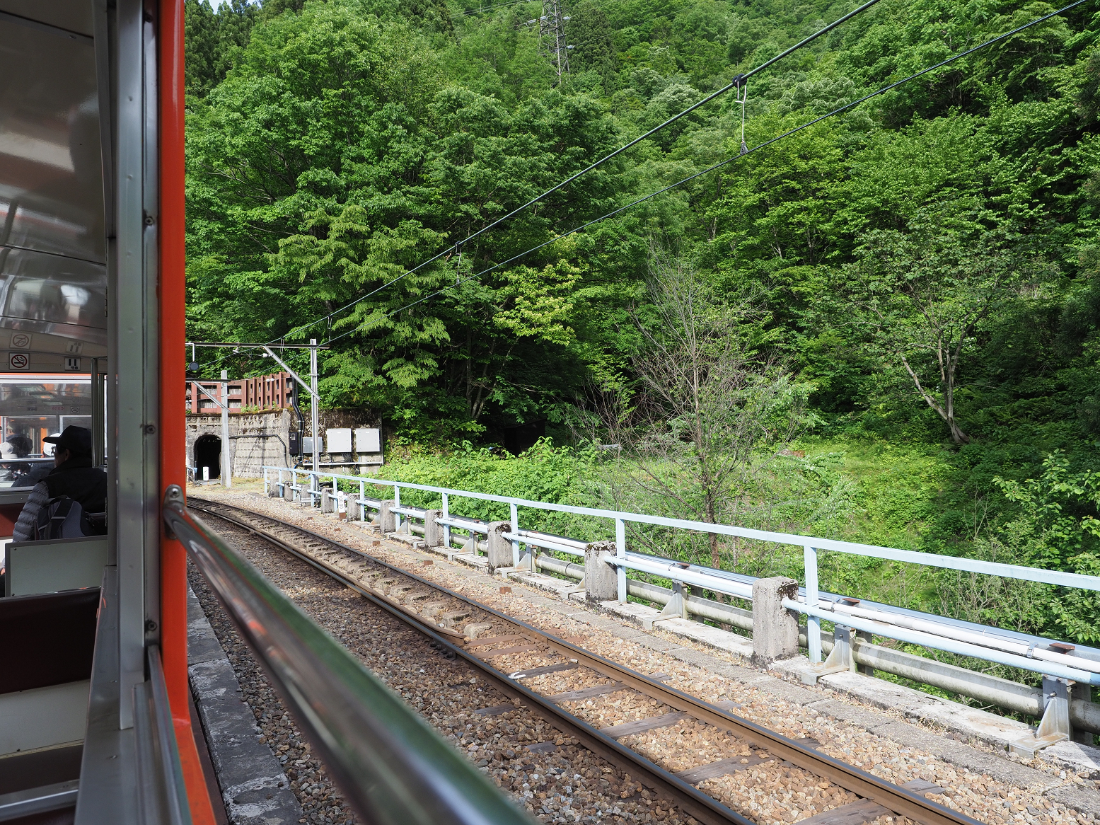 P5300939.jpg