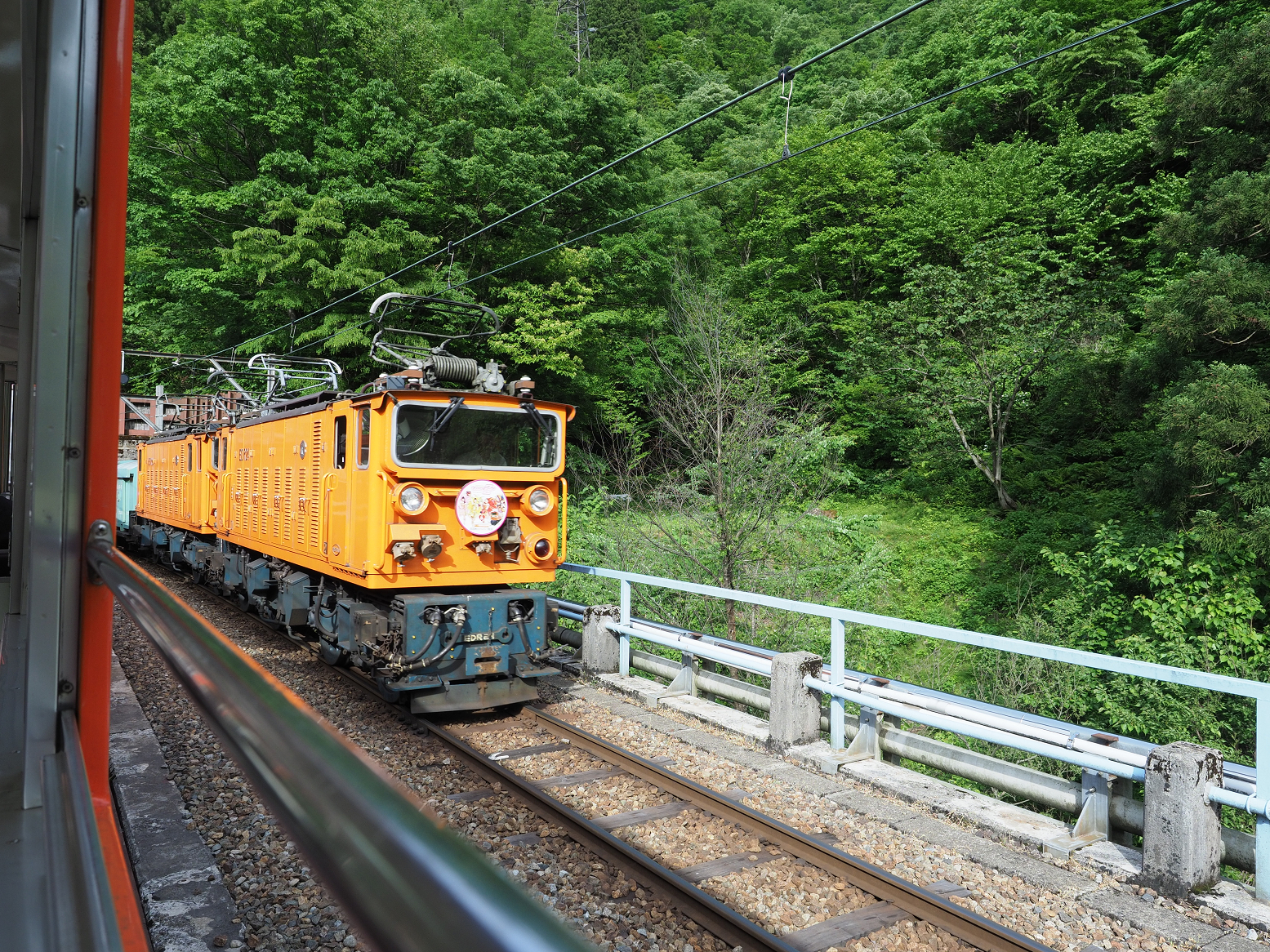 P5300945.jpg