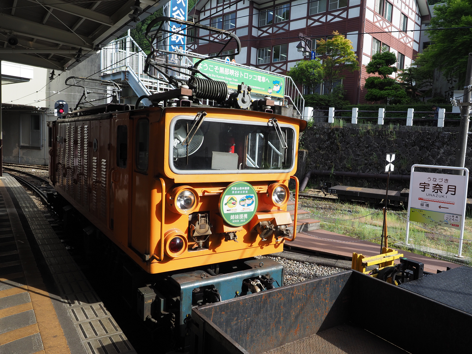 P5300967.jpg