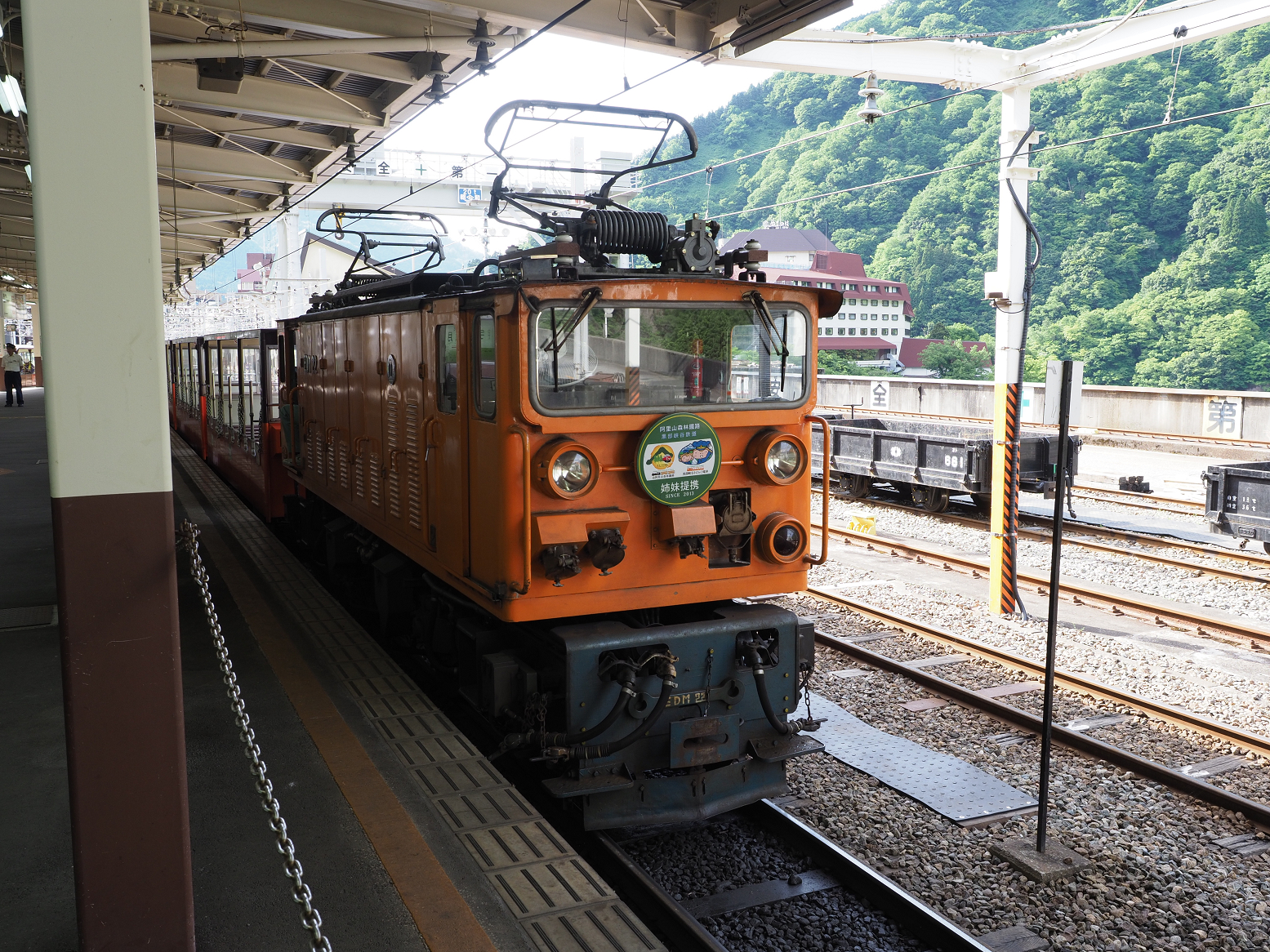 P5300971.jpg