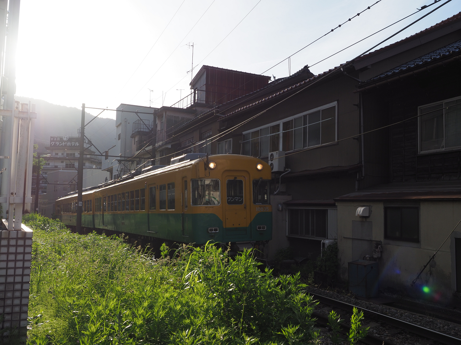 P5301019.jpg
