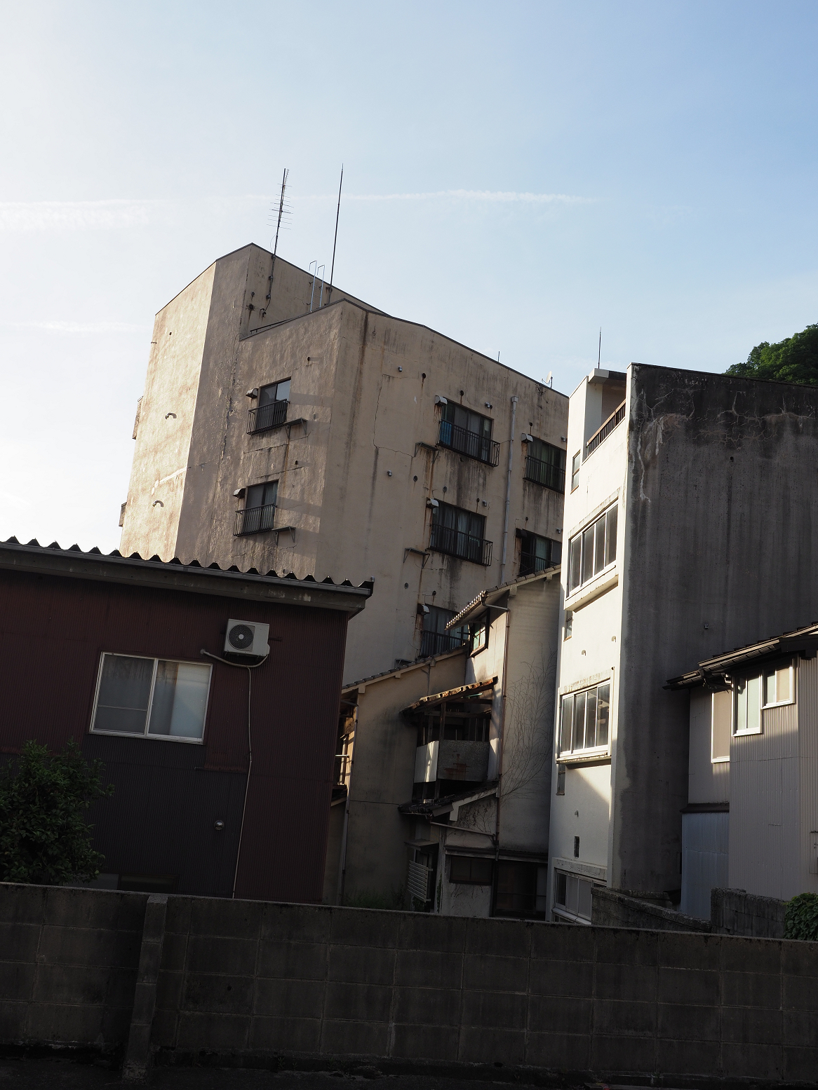 P5301030.jpg