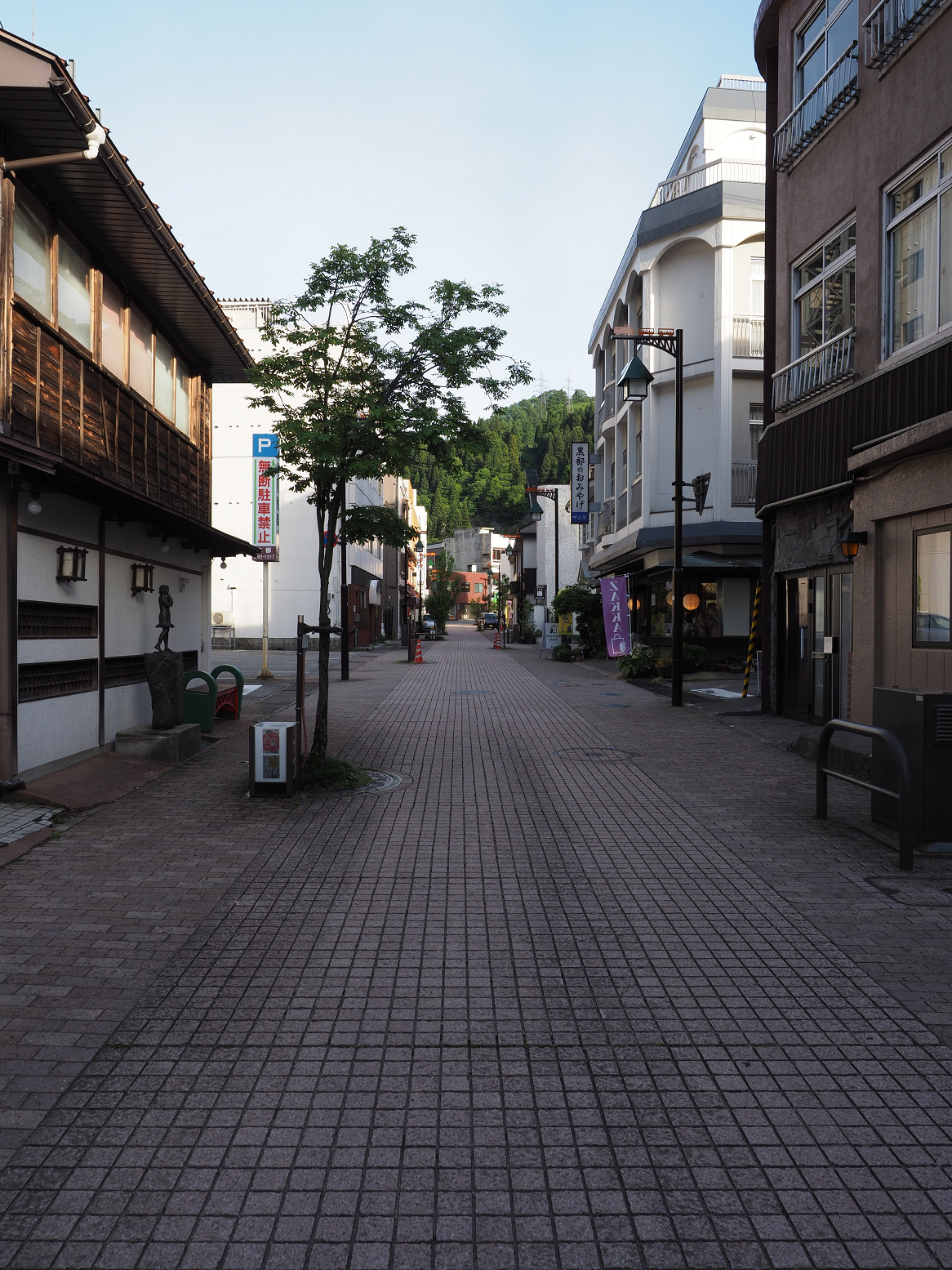 P5301031.jpg