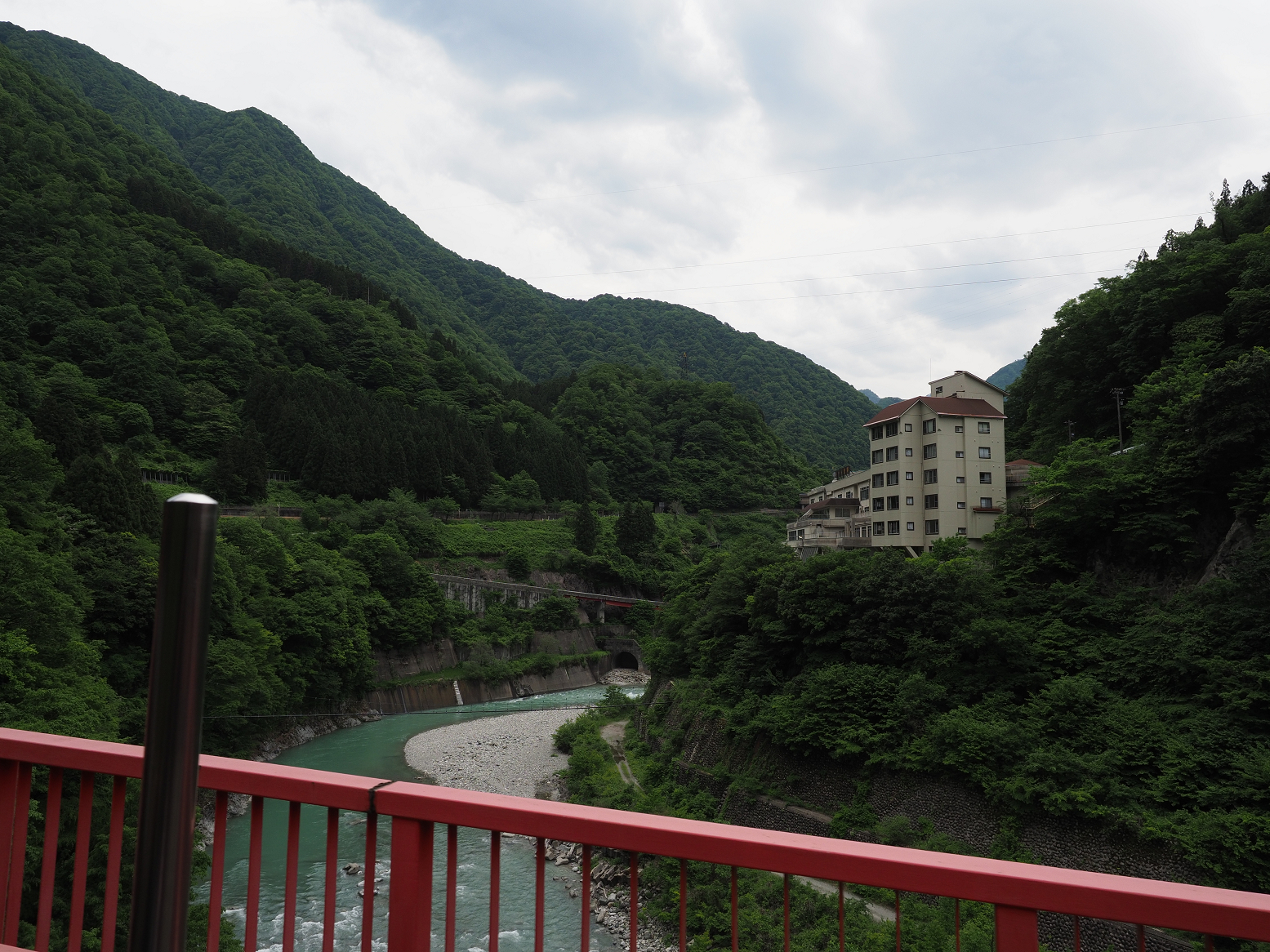 P5311121.jpg
