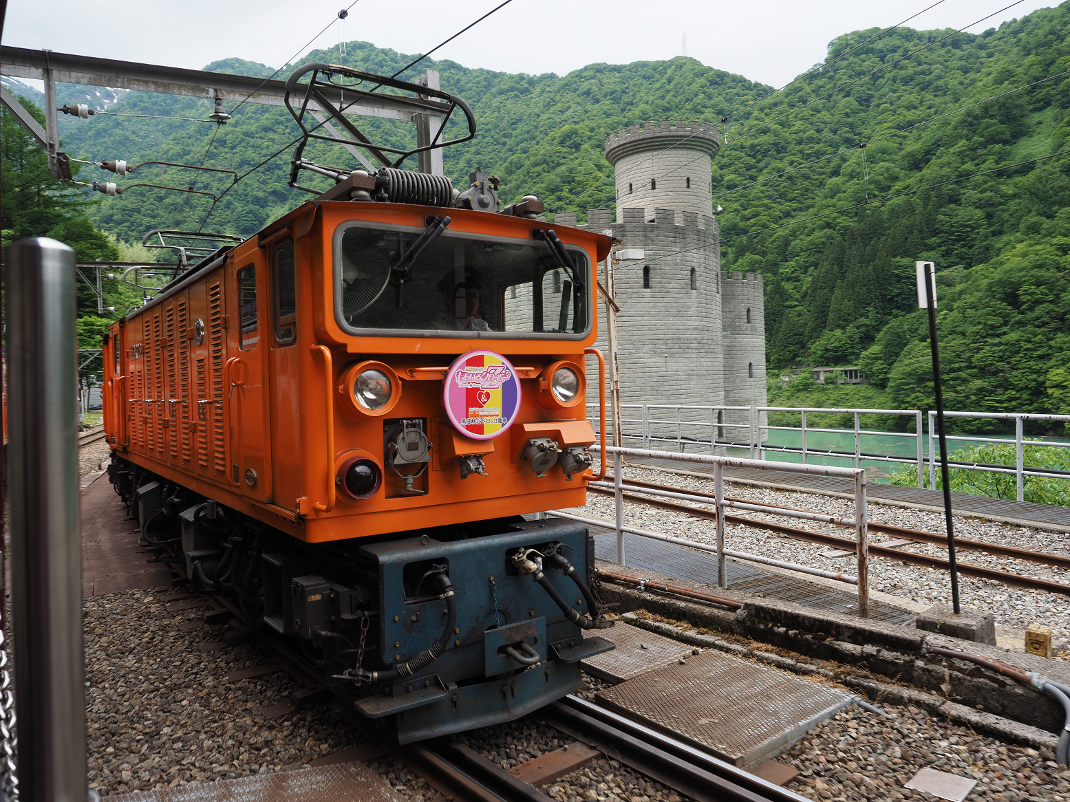 P5311130.jpg