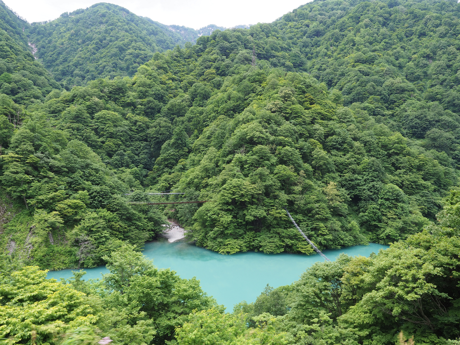P5311142.jpg