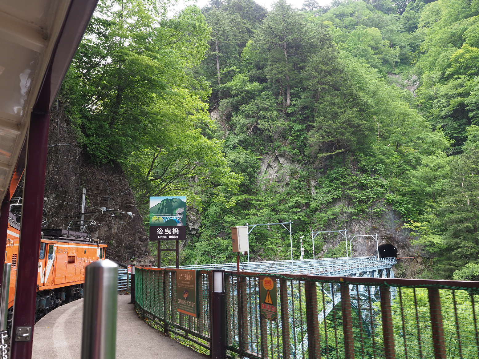 P5311160.jpg