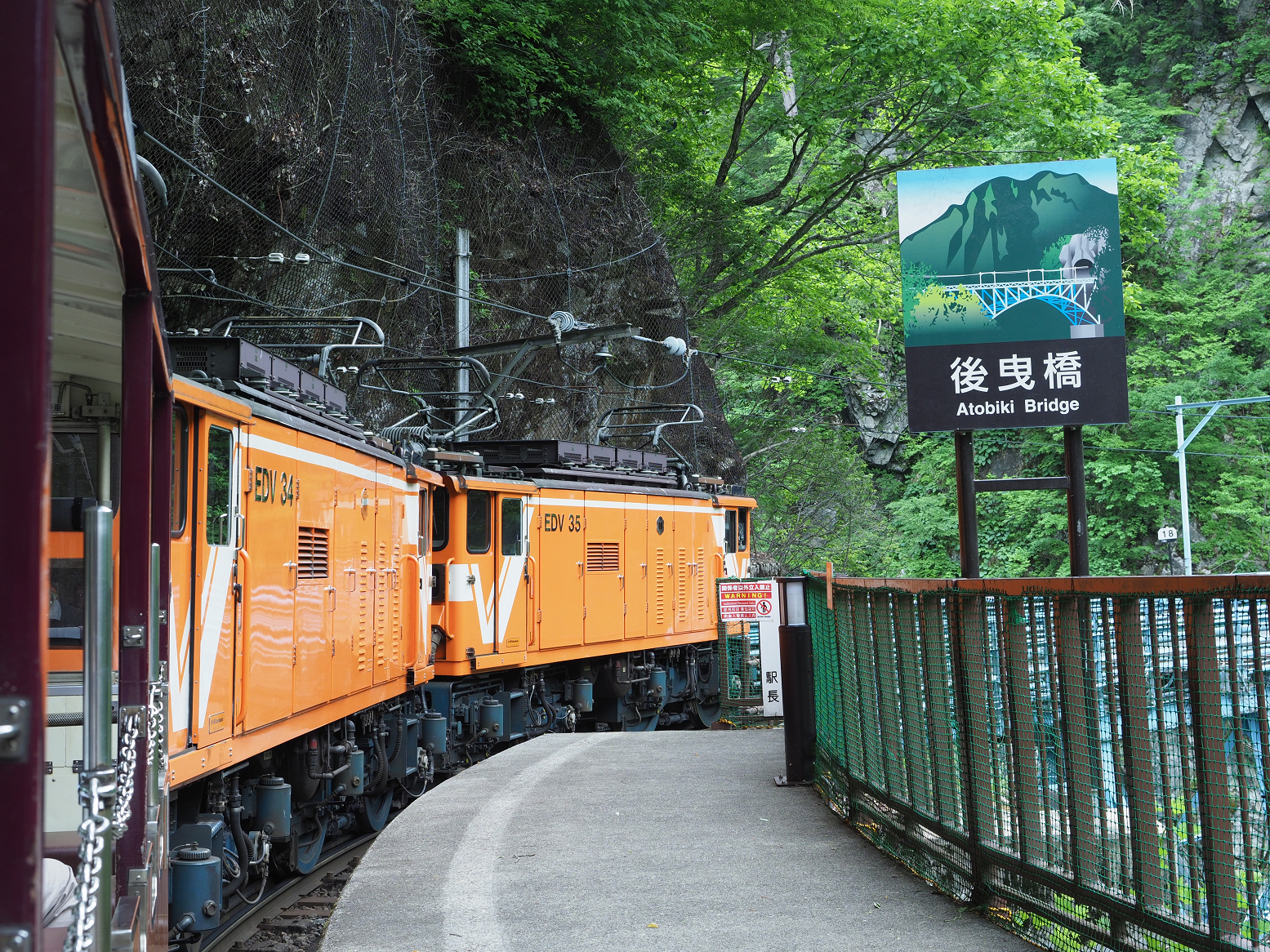 P5311164.jpg