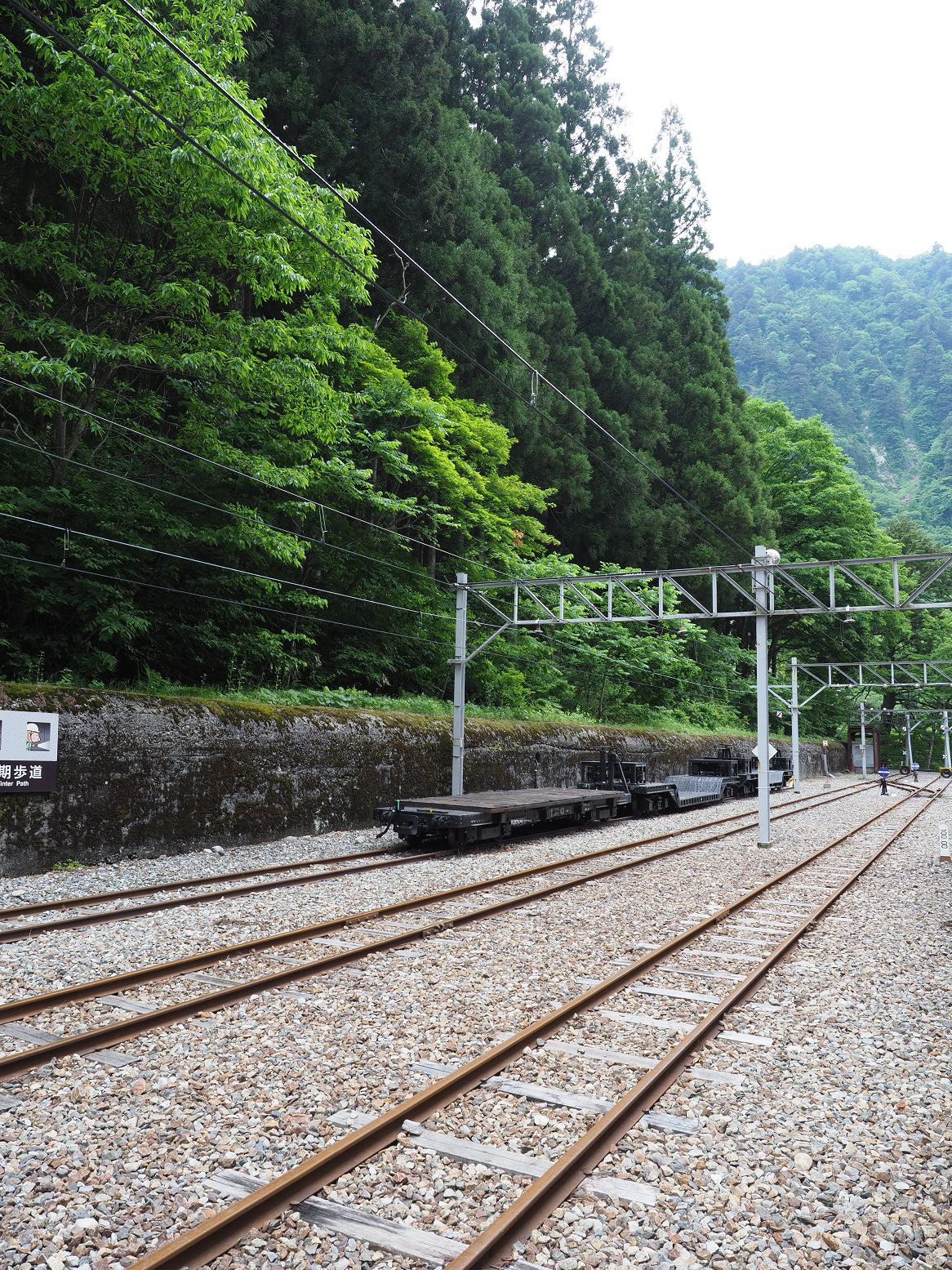 P5311184.jpg