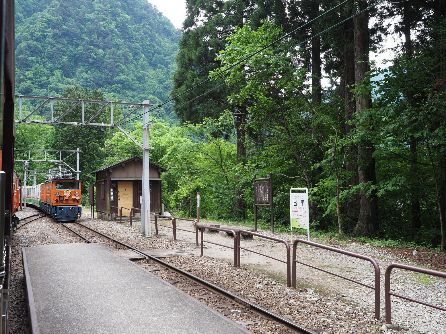 P5311187.jpg