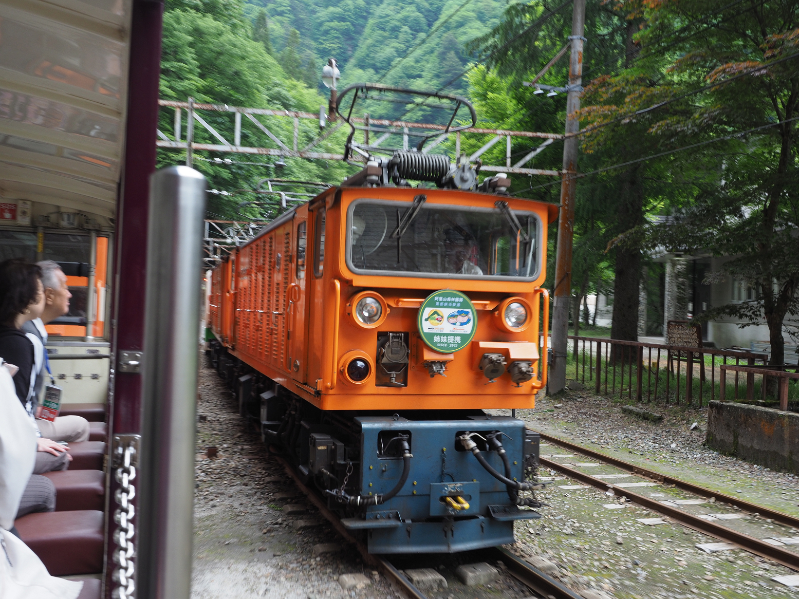 P5311213.jpg