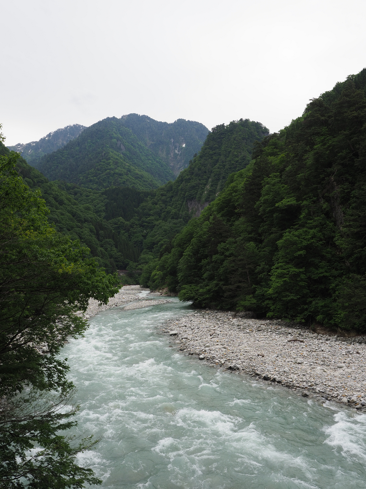 P5311219.jpg