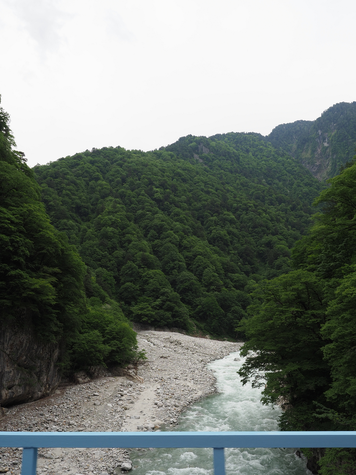 P5311227.jpg
