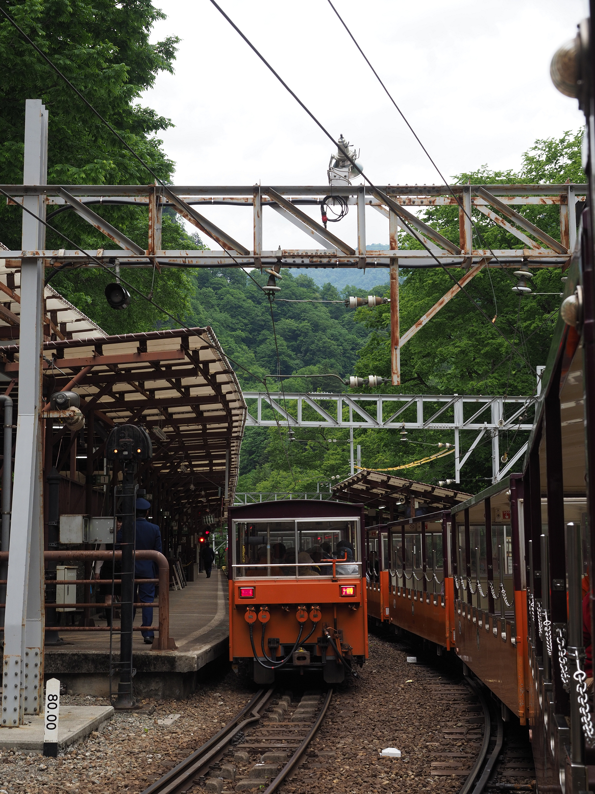 P5311233.jpg