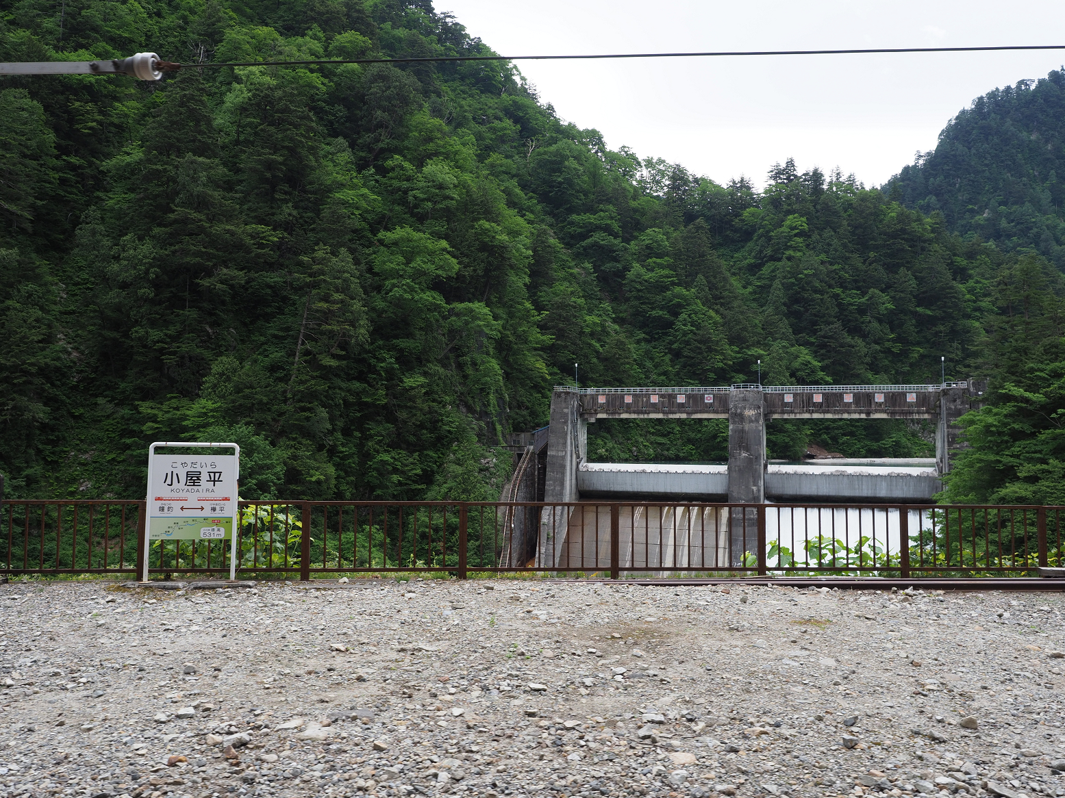 P5311242.jpg