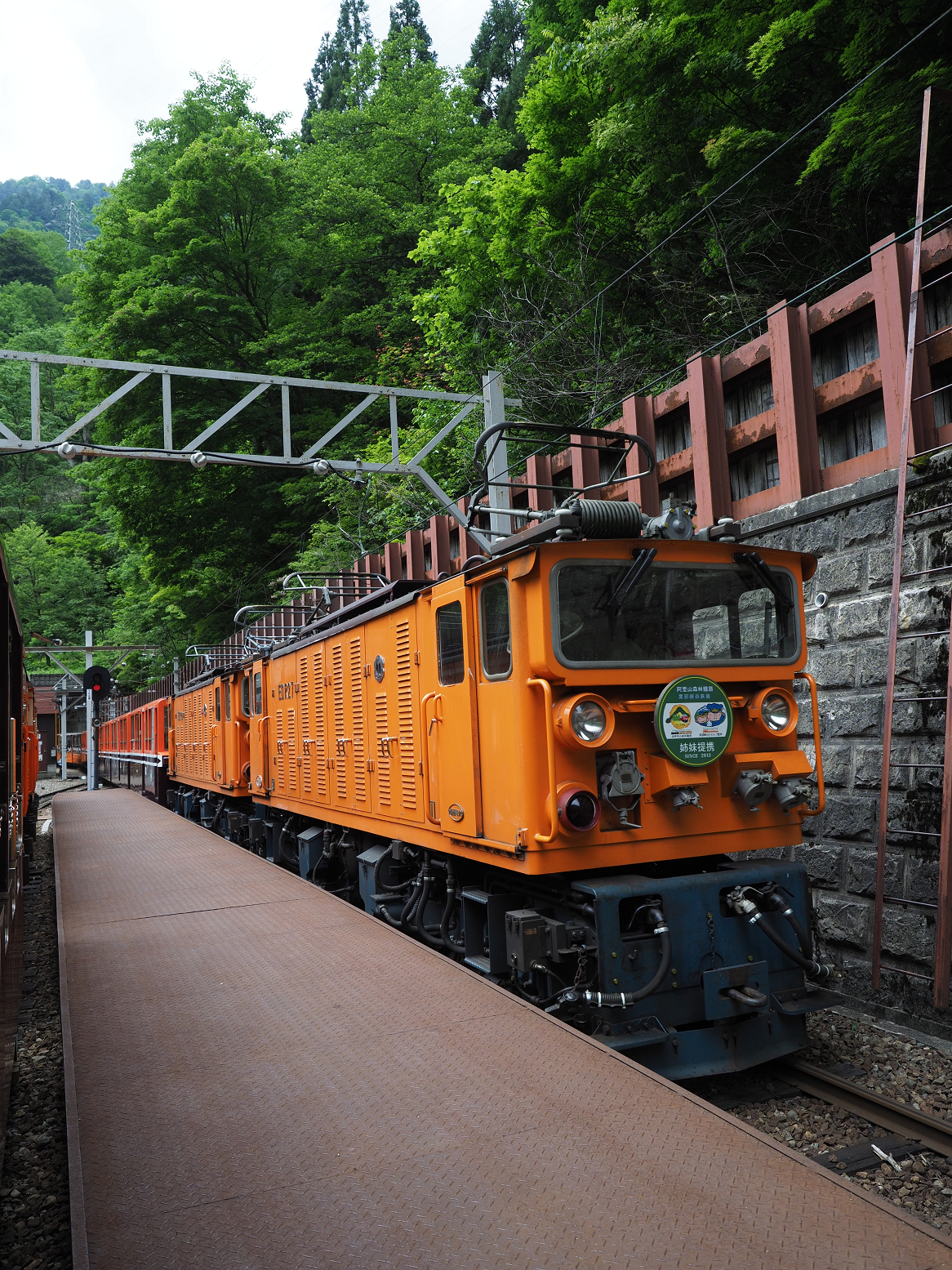 P5311257.jpg