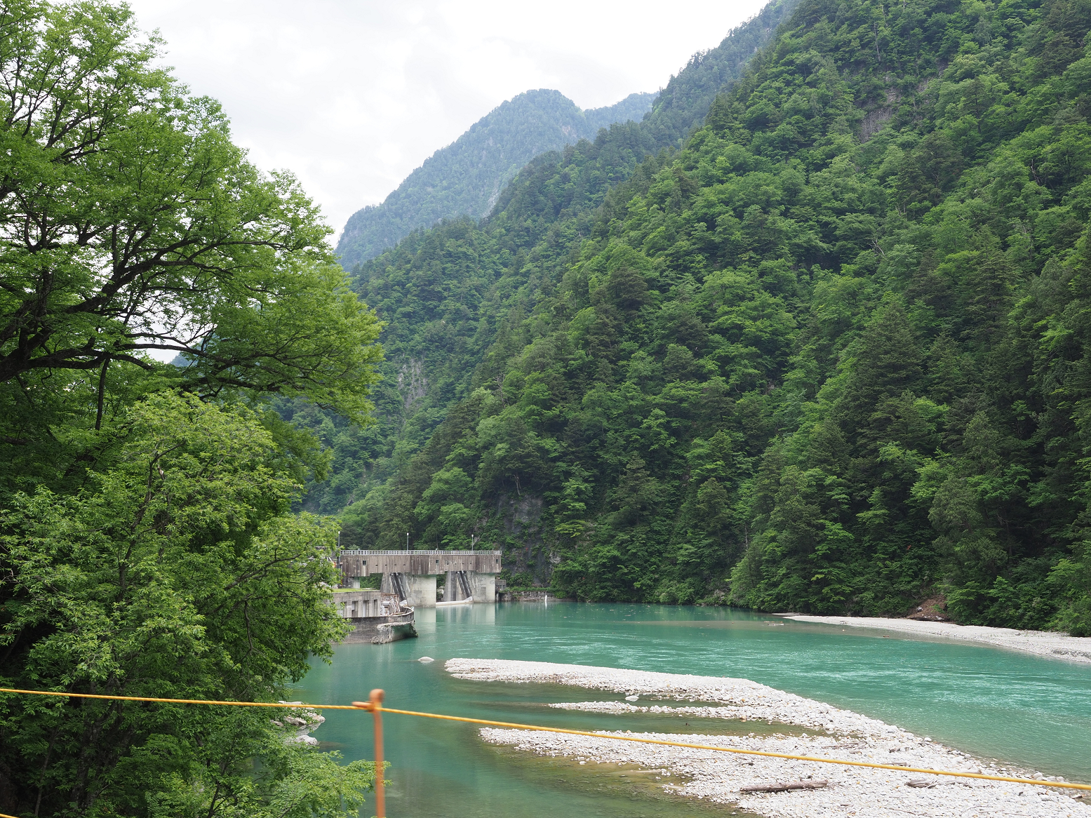 P5311260.jpg