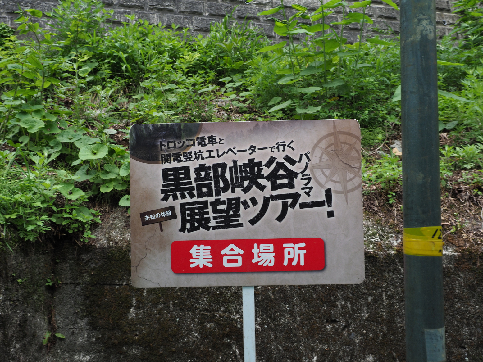 P5311262.jpg