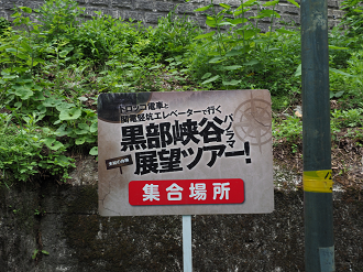 P5311262_thumb.png