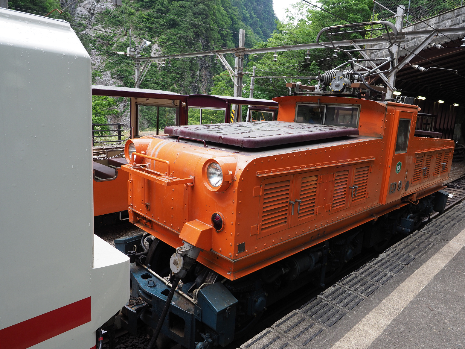 P5311270.jpg