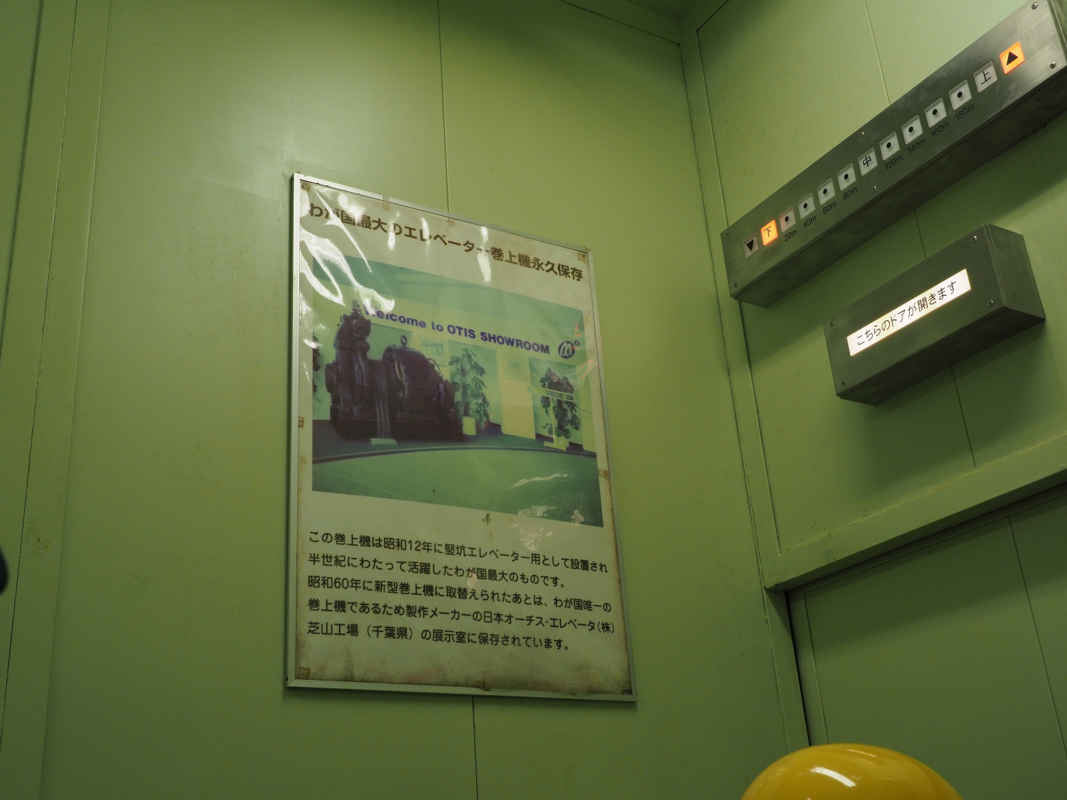 P5311288.jpg