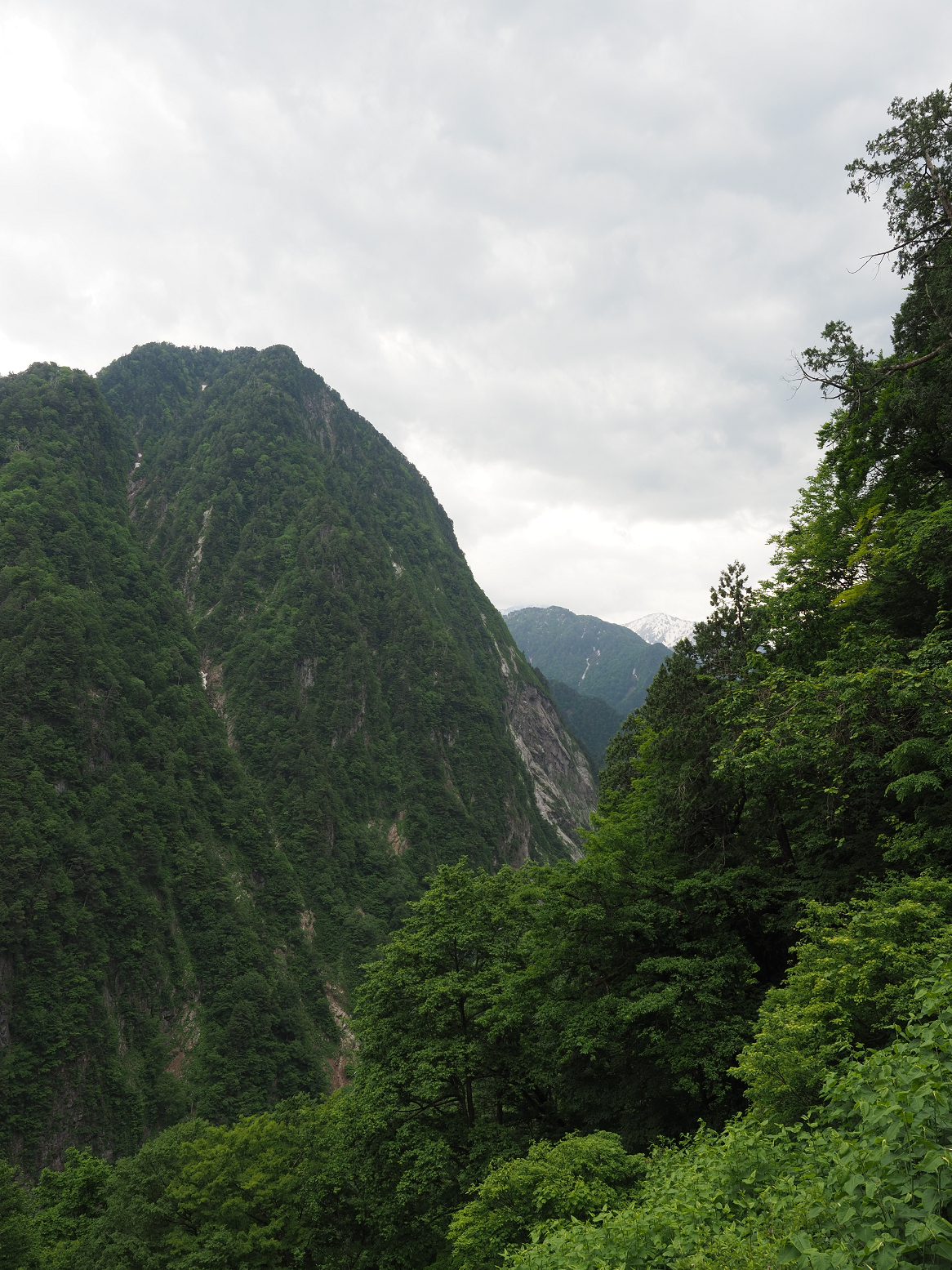 P5311293.jpg