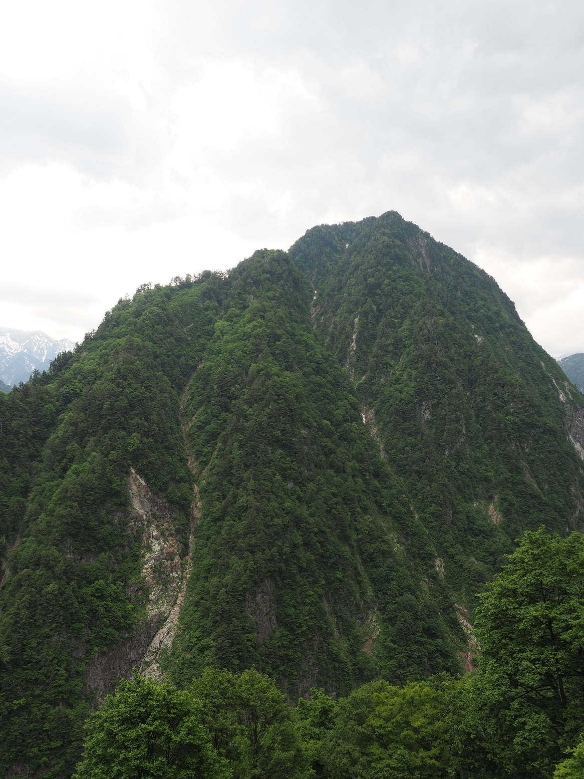 P5311294.jpg