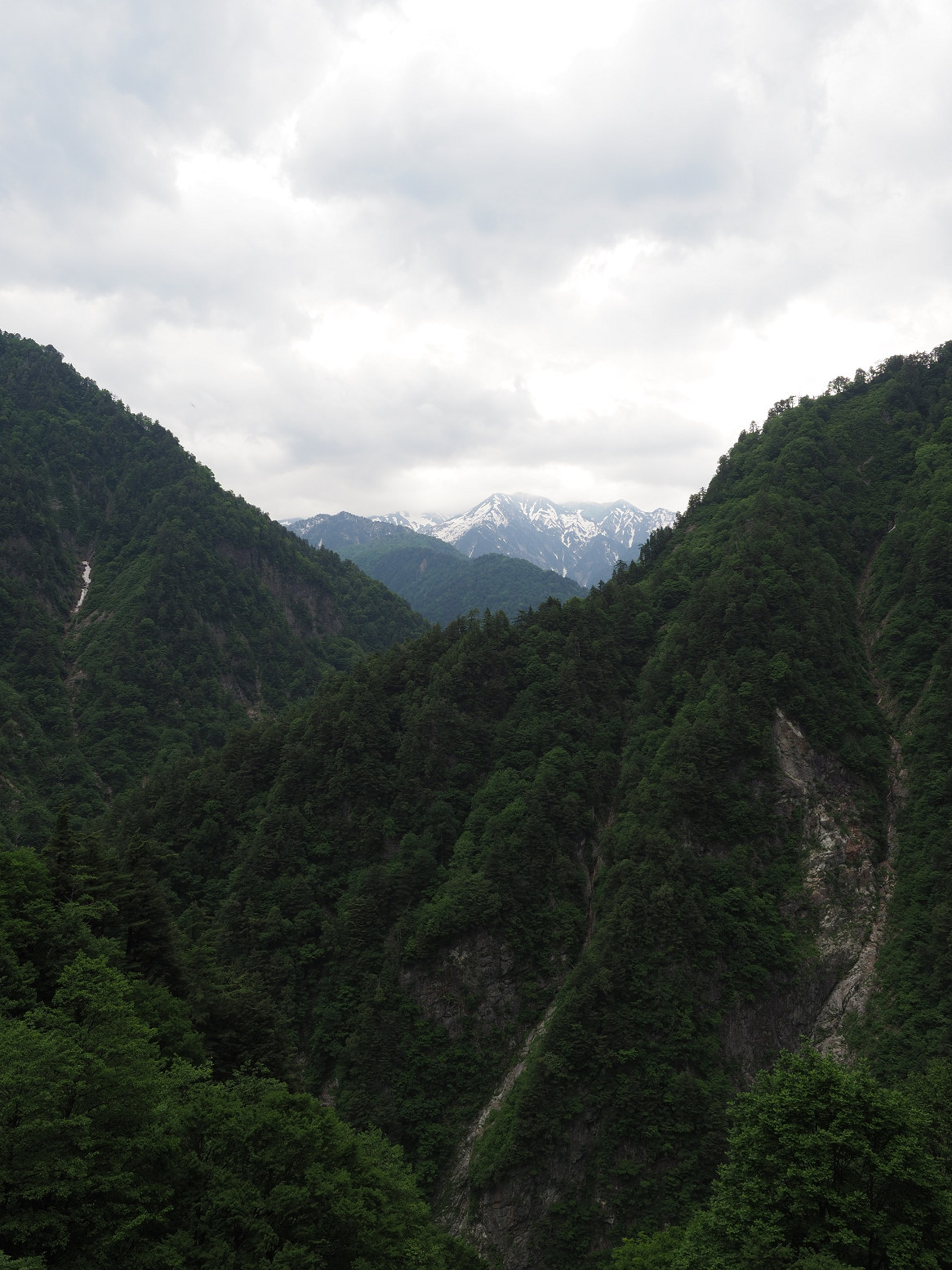 P5311295.jpg