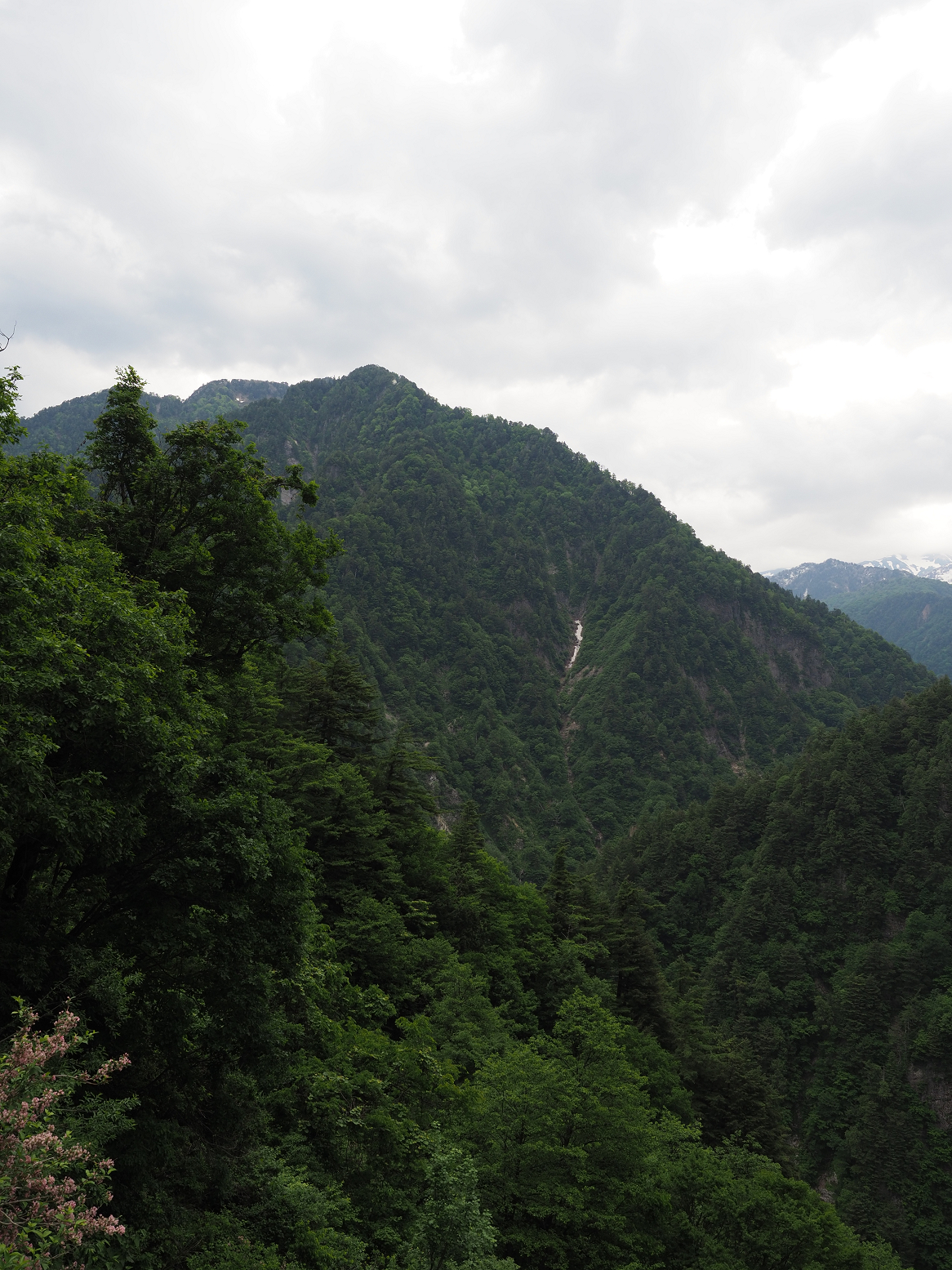 P5311296.jpg
