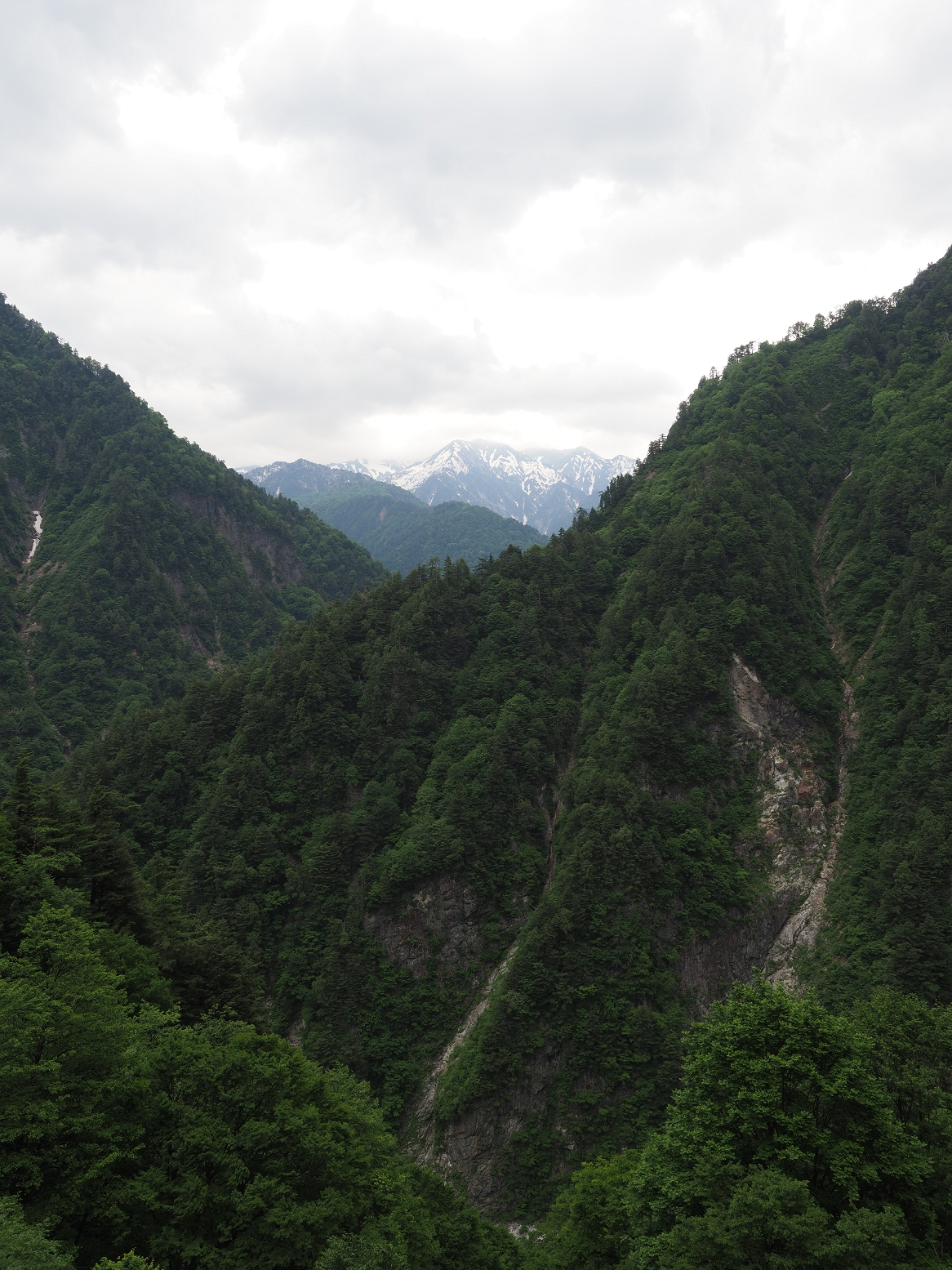 P5311297.jpg