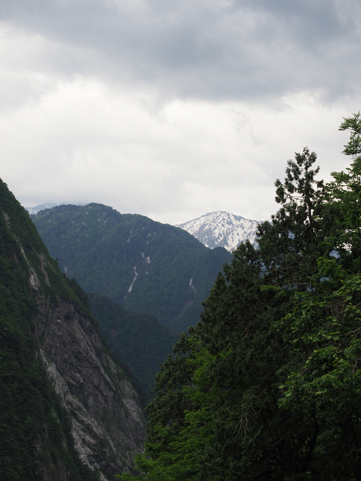 P5311300.jpg
