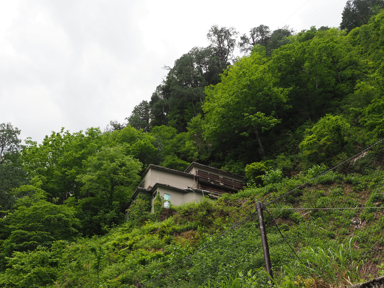 P5311301.jpg