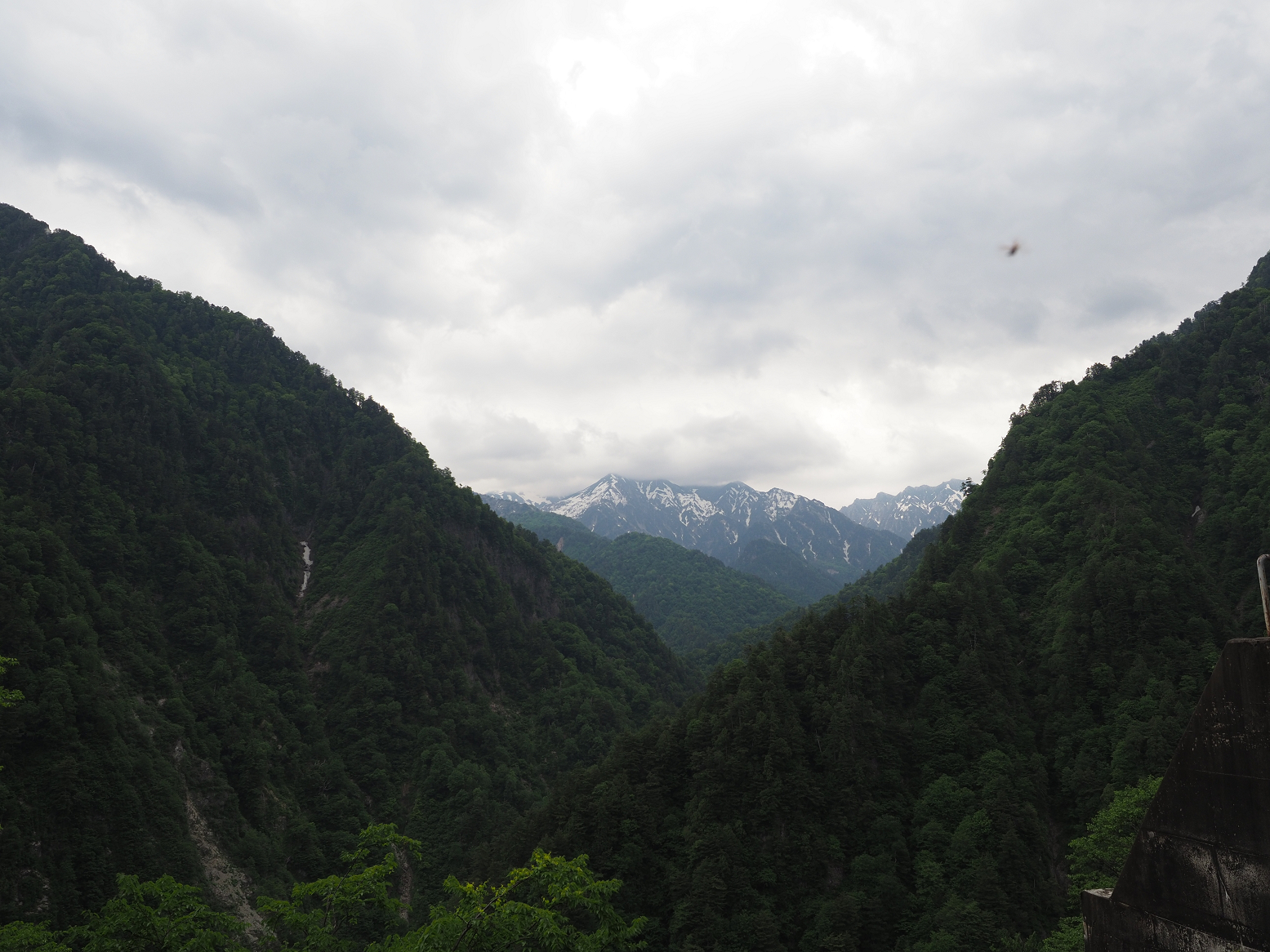 P5311313.jpg