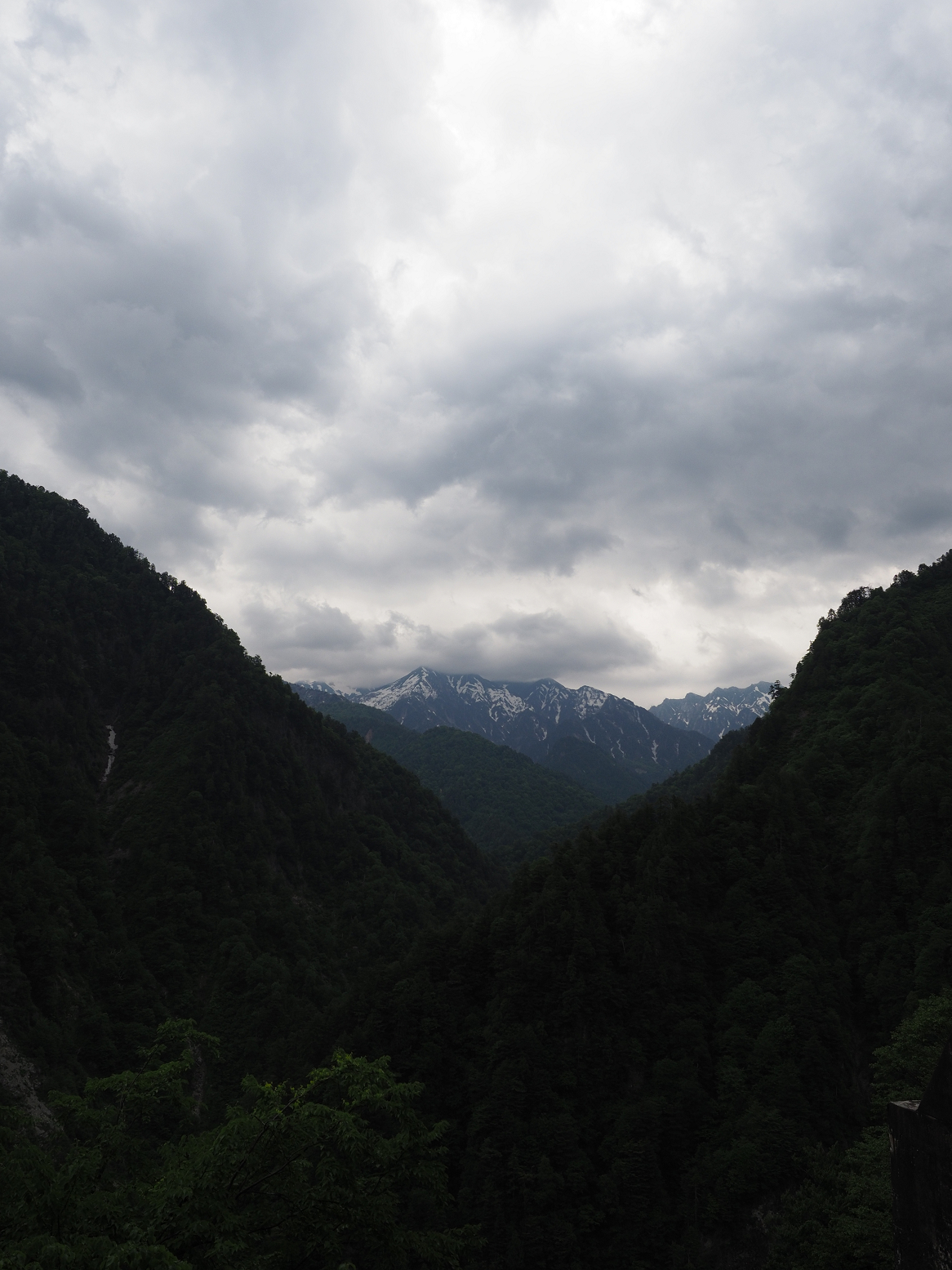 P5311314.jpg