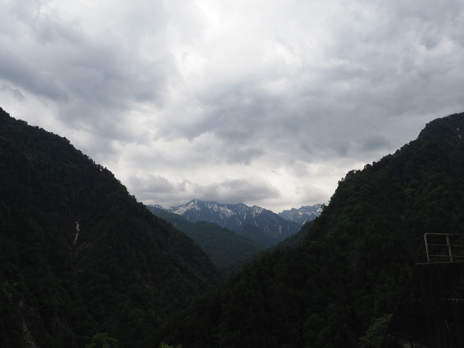 P5311315.jpg