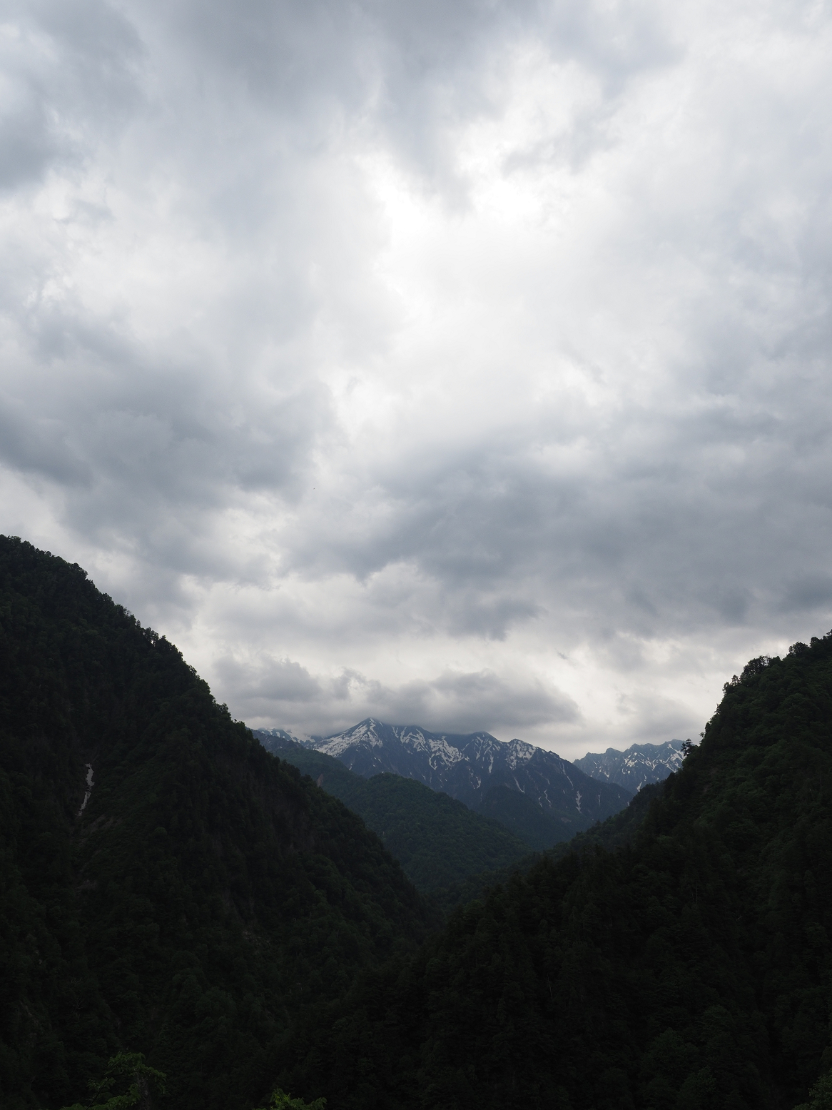 P5311317.jpg