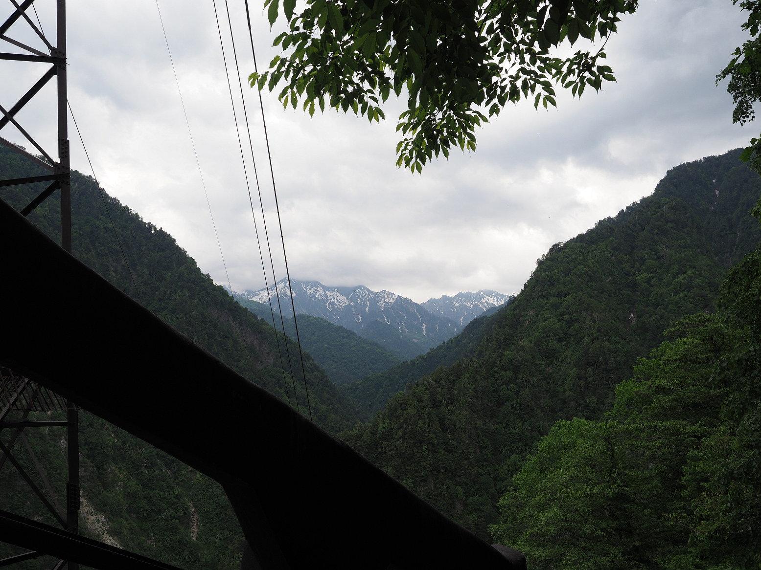P5311323.jpg