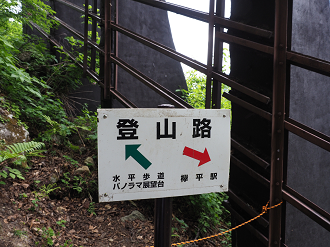 P5311324_thumb.png